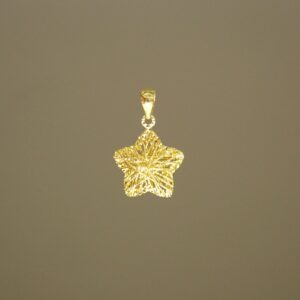 24K/999 Pure Yellow Gold Star Pendant 足金星星吊坠